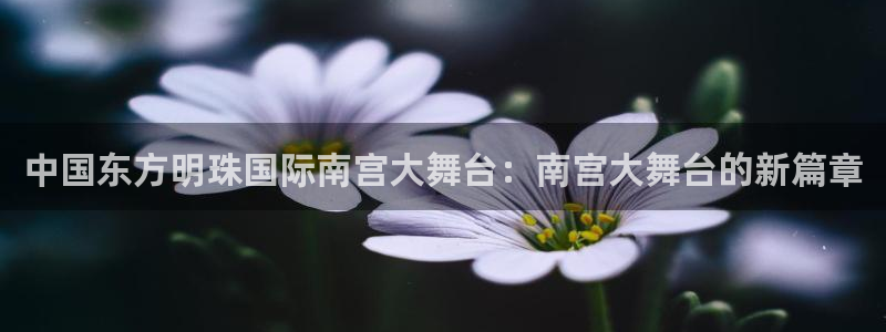 bb贝博艾弗森官方网站：中国东方明珠国际南宫大舞台：南宫大舞台的新篇章