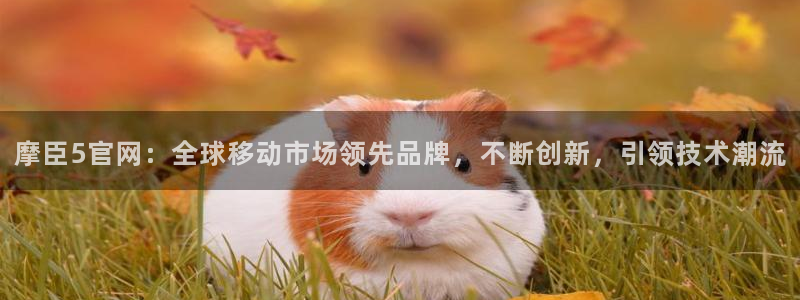 BB贝博艾弗森账号注册入口：摩臣5官网：全球移动市场领先品牌，不断创新，引领技术潮流