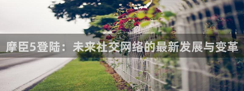 bb贝博艾弗森2：摩臣5登陆：未来社交网络的最新发展与变革