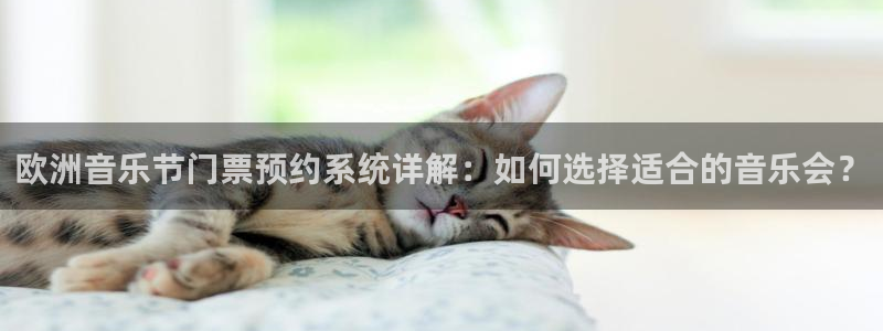 BB贝博艾弗森平台官方网站：欧洲音乐节门票预约系统详解：如何选择适合的音乐会？