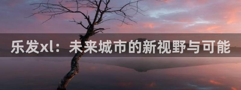 pgBB贝博艾弗森平台下载入口：乐发xl：未来城市的新视野与可能