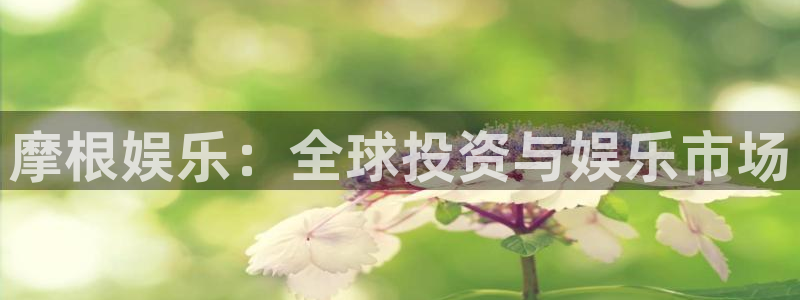 壹号电子娱乐app下载最新版：摩根娱乐：全球投资与娱乐市场