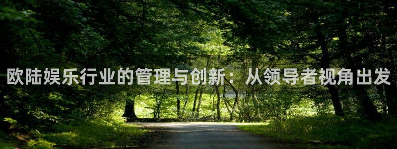 BB贝博艾弗森电子游戏官网：欧陆娱乐行业的管理与创新：从领导者视角出发