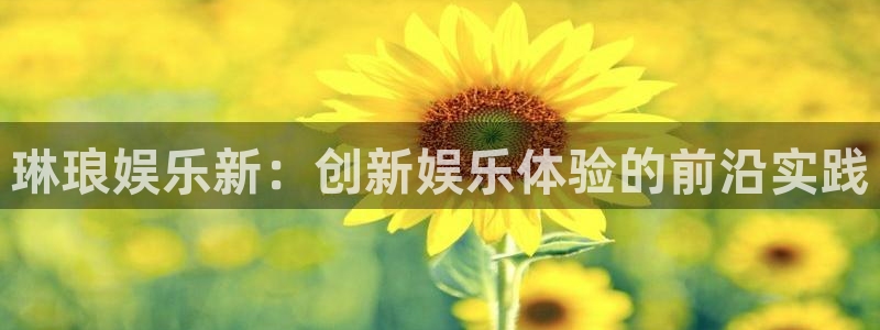 壹号app官网：琳琅娱乐新：创新娱乐体验的前沿实践