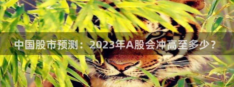 BB贝博艾弗森娱乐：中国股市预测：2023年A股会冲高至多少？