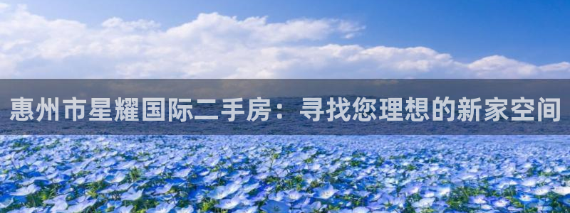 南宫BB贝博艾弗森：惠州市星耀国际二手房：寻找您理想的新家空间