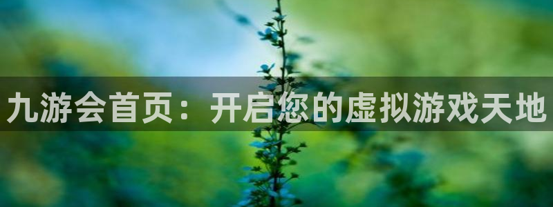 BB贝博艾弗森.ccmpc正版官网版下载：九游会首页：开启您的虚拟游戏天地