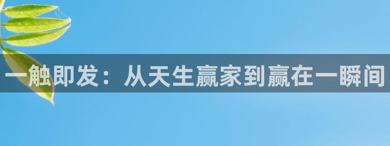 壹号大舞台官网入口：一触即发：从天生赢家到赢在一瞬间