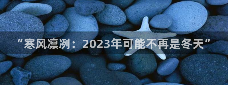 BB贝博艾弗森app注册地址：“寒风凛冽：2023年可能不再是冬天”