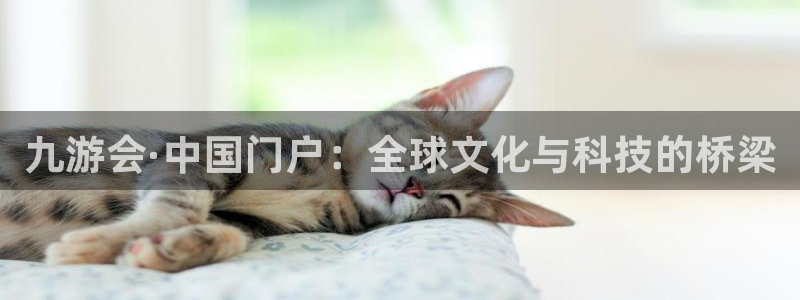 BB贝博艾弗森app官网下载：九游会·中国门户：全球文化与科技的桥梁