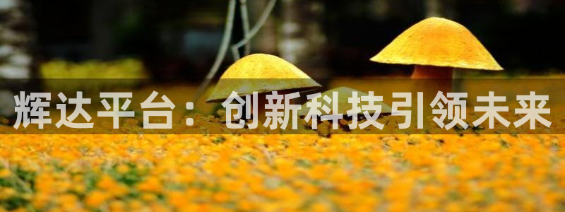 BB贝博艾弗森app哪个模式容易赢：辉达平台：创新科技引领未来