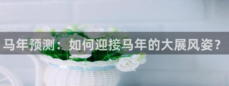 bb贝博艾弗森平台：马年预测：如何迎接马年的大展风姿？