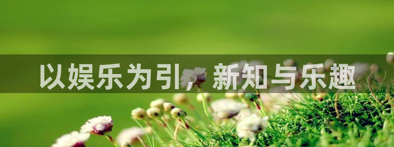 BB贝博艾弗森退款怎么退：以娱乐为引，新知与乐趣