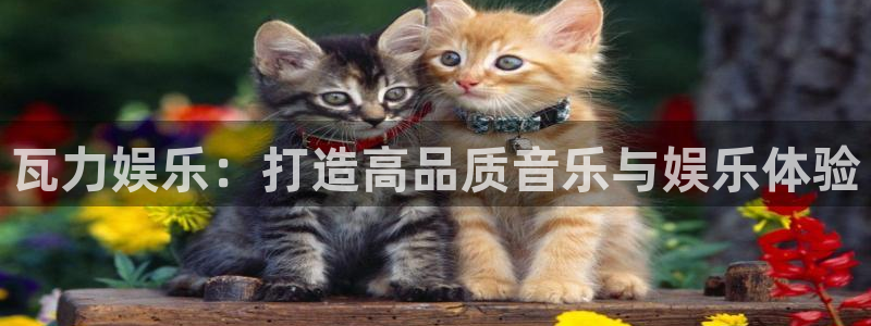 BB贝博艾弗森.ccm：瓦力娱乐：打造高品质音乐与娱乐体验