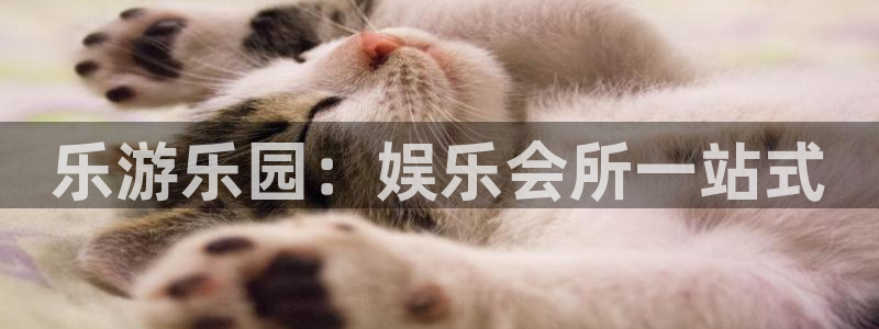 BB贝博艾弗森手机客户端下载安装：乐游乐园：娱乐会所一站式