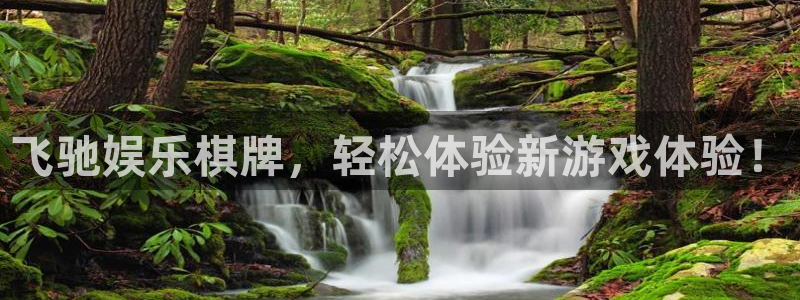 BB贝博艾弗森平台下载入口：飞驰娱乐棋牌，轻松体验新游戏体验！