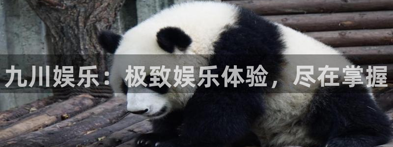 壹号电子娱乐app下载官网：九川娱乐：极致娱乐体验，尽在掌握