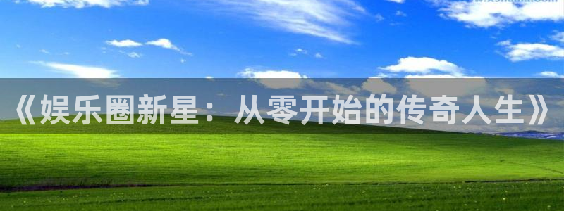 BB贝博艾弗森登录网：《娱乐圈新星：从零开始的传奇人生》