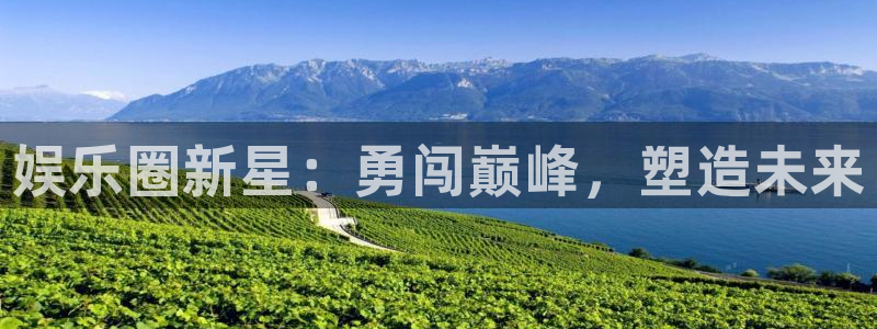 电子游戏BB贝博艾弗森：娱乐圈新星：勇闯巅峰，塑造未来