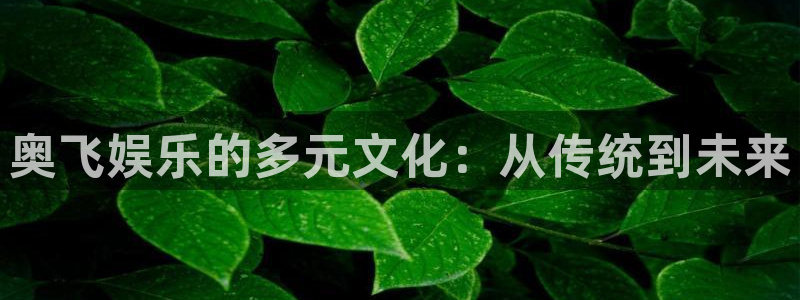 BB贝博艾弗森加拿大app预测：奥飞娱乐的多元文化：从传统到未来