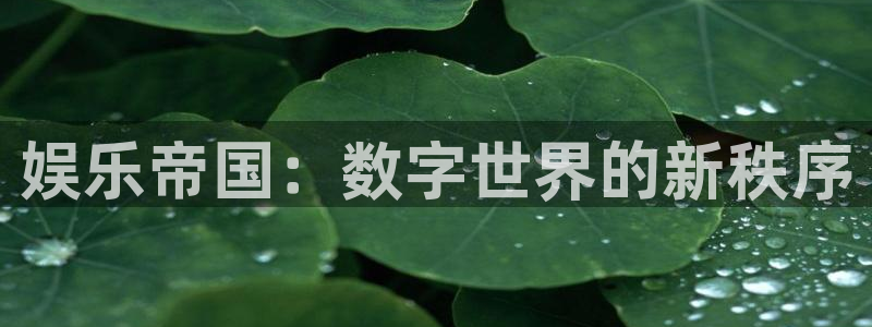 BB贝博艾弗森的平台：娱乐帝国：数字世界的新秩序