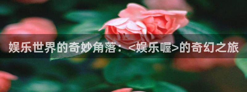 BB贝博艾弗森app入口：娱乐世界的奇妙角落：<娱乐喔>的奇幻之旅
