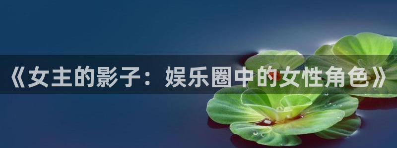 BB贝博艾弗森官网版下载：《女主的影子：娱乐圈中的女性角色》