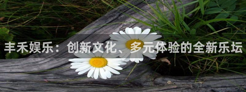 BB贝博艾弗森,com：丰禾娱乐：创新文化、多元体验的全新乐坛