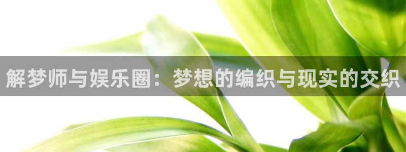 BB贝博艾弗森放水时间：解梦师与娱乐圈：梦想的编织与现实的交织