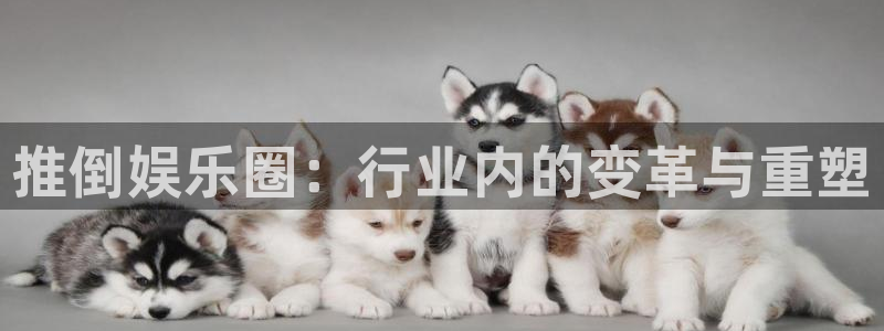 BB贝博艾弗森ccm赏金女王：推倒娱乐圈：行业内的变革与重塑