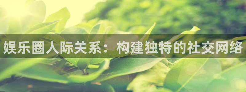 壹号电子娱乐app：娱乐圈人际关系：构建独特的社交网络