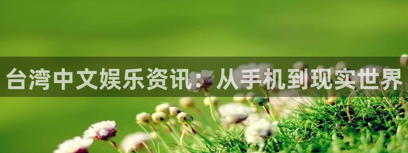 BB贝博艾弗森强制退款流程详解：台湾中文娱乐资讯：从手机到现实世界