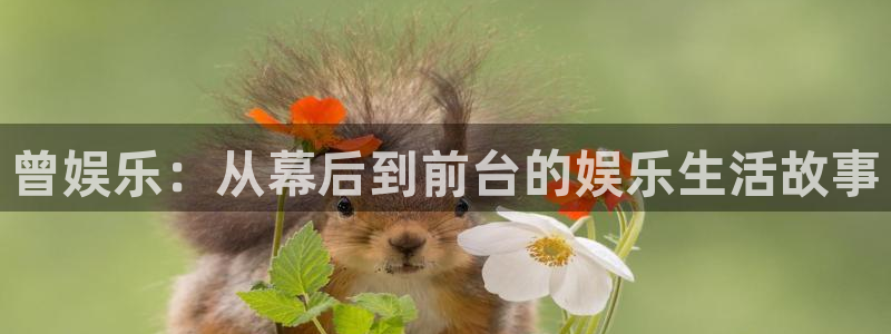 bb贝博艾弗森平台：曾娱乐：从幕后到前台的娱乐生活故事